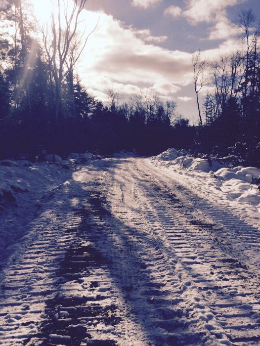 WentworthHalbinselStrasse (8)